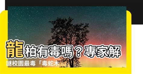 龍柏有毒嗎|龍柏有毒嗎？園藝專家告訴你安全種植秘訣